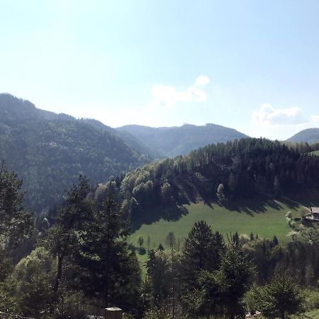 Waldblick Landhaus B&B Schwarzenbach an der Pielach Экстерьер фото
